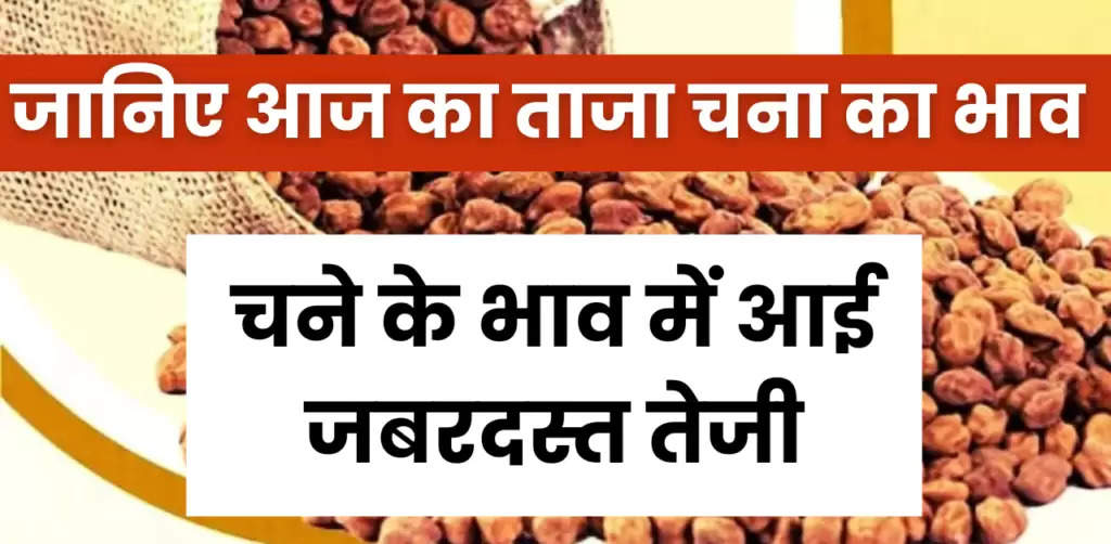 Chana Ka Bhav : चने के भाव ने 3 साल बाद बनाया रिकॉर्ड भाव पहुंचा 7150 के पार, जानें आज का ताजा चना का भाव