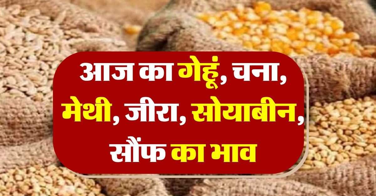 aaj ka mandi bhav : गेहूं, चना, मेथी, जीरा, सोयाबीन, सौंफ के भाव में बदलाव, इसमें आई सबसे ज्यादा तेजी