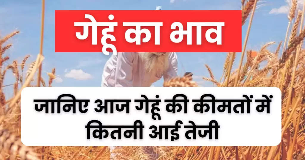 3 April Wheat Ka Bhav : आज का ताजा गेहूं का भाव