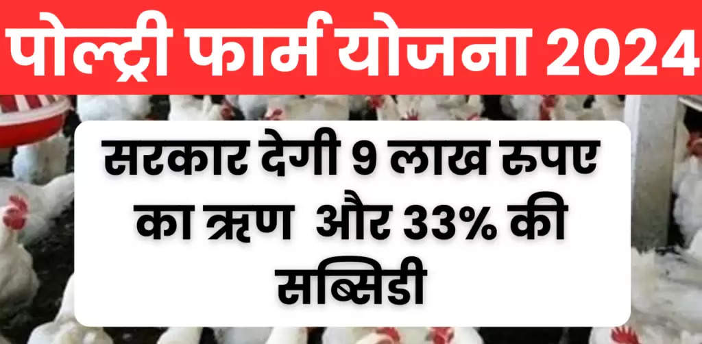 पोल्ट्री फार्म योजना 2024 : मुर्गी पालन व्यवसाय के लिए मिल रहा है 9 लाख रुपए का ऋण और 33% सब्सिडी