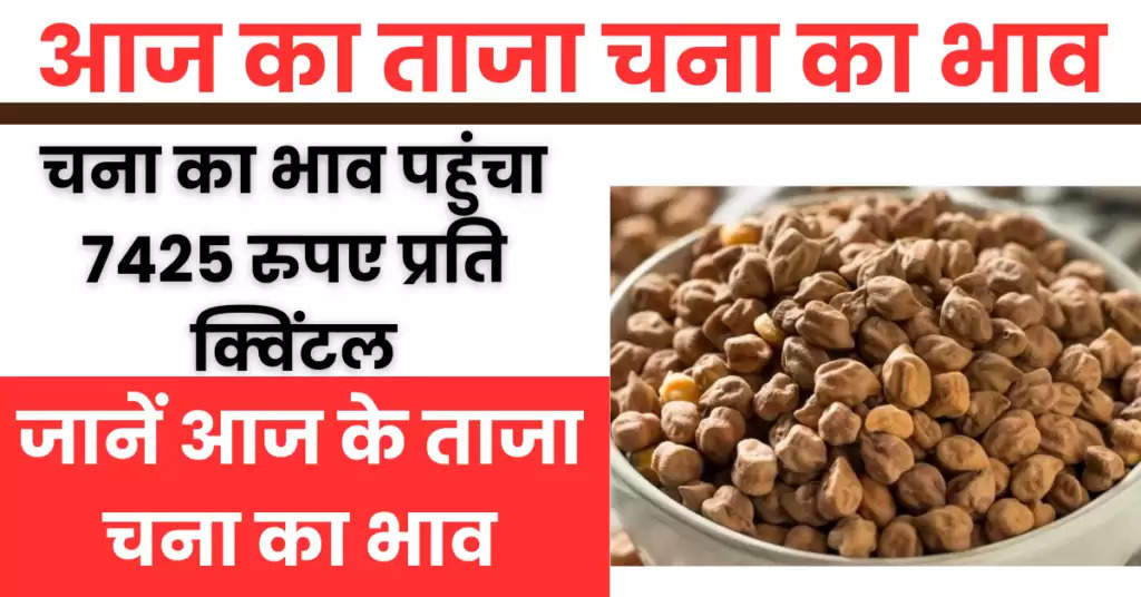 Chana Ka Bhav : चना का भाव पहुंचा 7425 रुपए प्रति क्विंटल, जानें सभी मंडियों में आज के ताजा चने का भाव