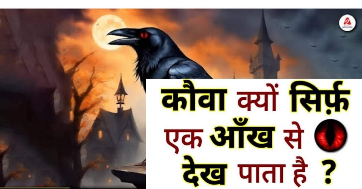 कौवा क्यों सिर्फ एक आंख से देख पाता है ?