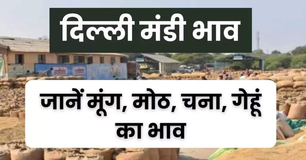 आज का ताजा दिल्ली मंडी भाव, चना के भाव में आई गिरावट, जानें सभी फसलों का भाव