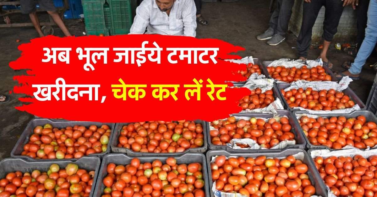 tomato price today : टमाटर के भाव ने तोड़ा रिकॉर्ड, 2 दिन में डेढ़ गुना बढ़ गए रेट, जानिये आज के भाव