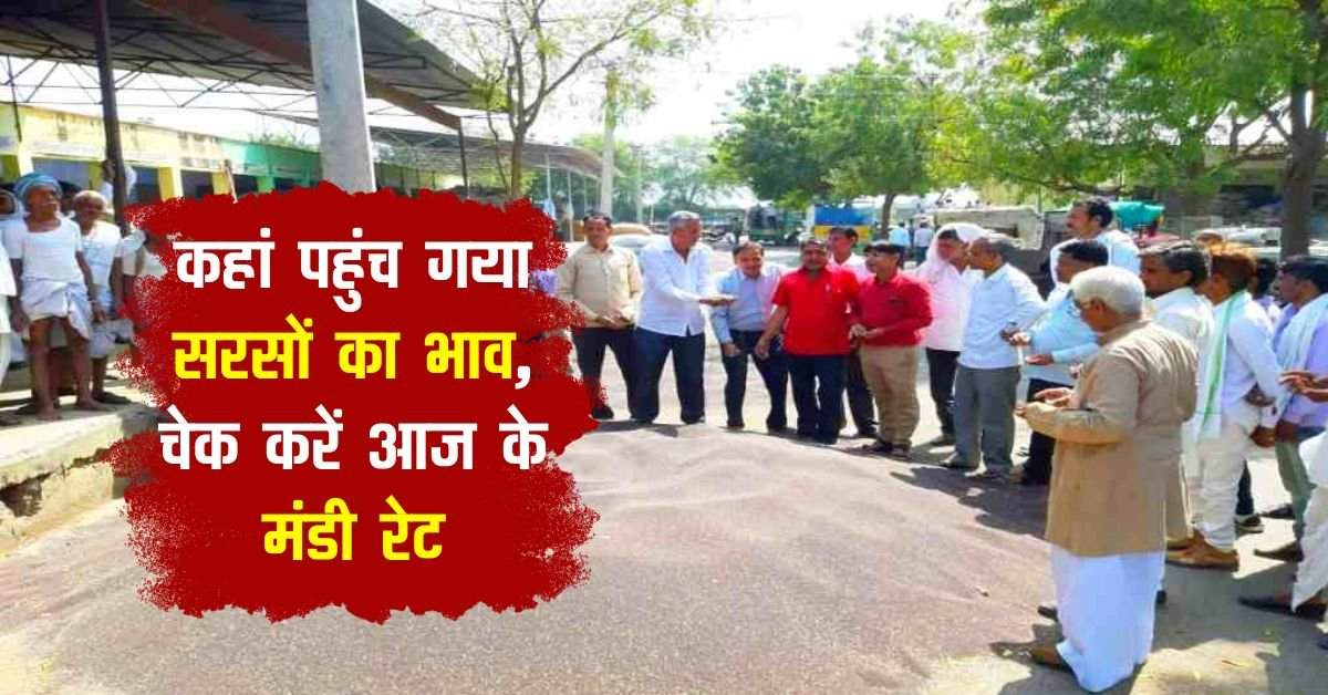 8 जुलाई सरसों का भाव sarso rate today