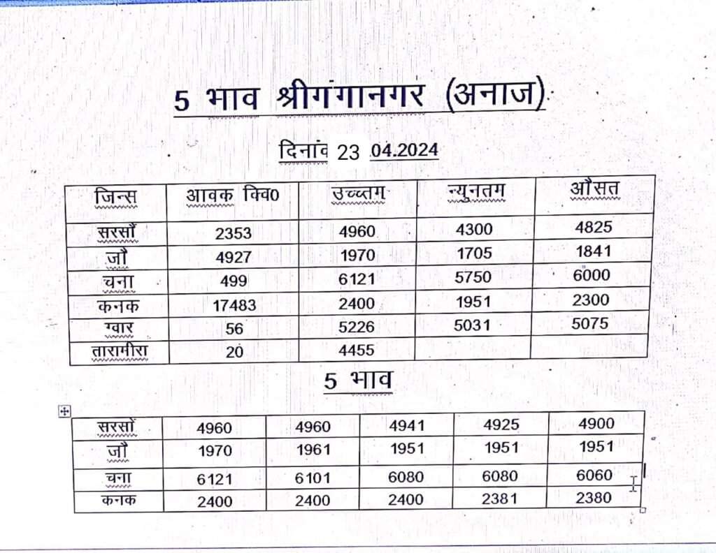 23 April Rajasthan Haryana Mandi Bhav : 23 अप्रैल राजस्थान हरियाणा मंडी भाव