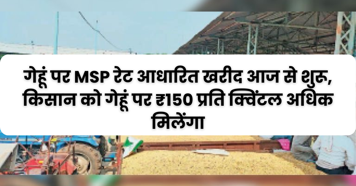 Wheat MSP Rate : गेहूं की खरीद पर आज से एमएसपी रेट शुरू , किसानों को 150 रुपए अधिक मिलेगा गेहूं की बिक्री पर