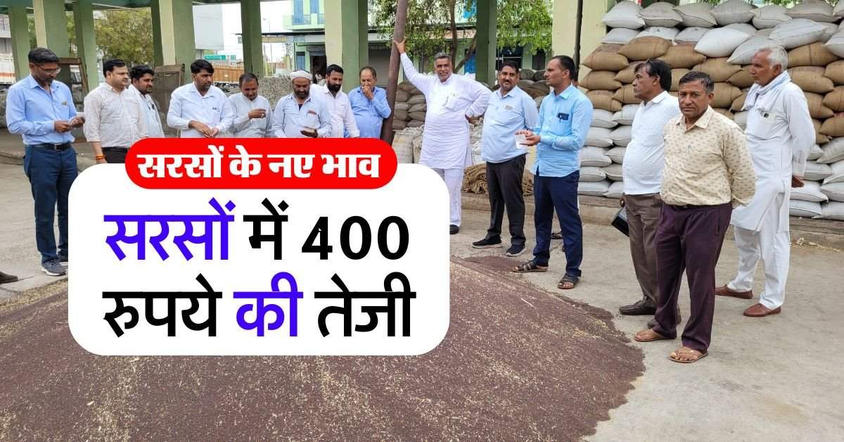 sarso ka bhav 28 July : सरसों के भाव में 400 रुपये की तेजी