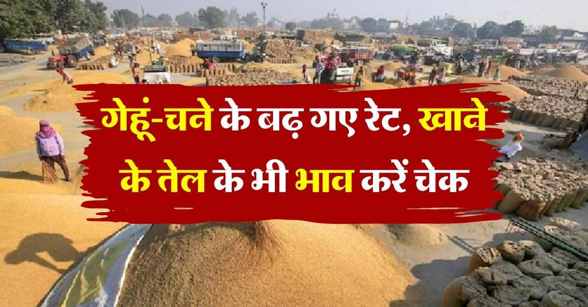 wheat gram price : गेहूं-चने के बढ़ गए रेट, खाने के तेल के भी भाव करें चेक