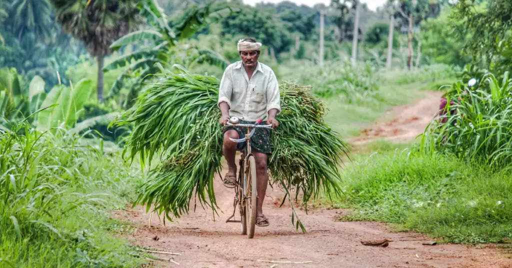 आज की बड़ी खबरें: राजनीति, किसान आंदोलन, और COVID-19 का नया अंदाज़! चौंकाने वाले सवालों के जवाब यहाँ पाएं!