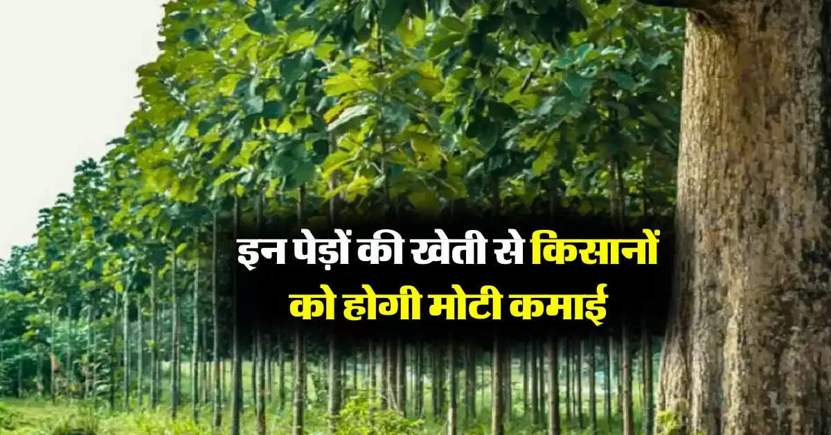 Tree Farming : इन पेड़ों की खेती से किसानों को होगी मोटी कमाई 