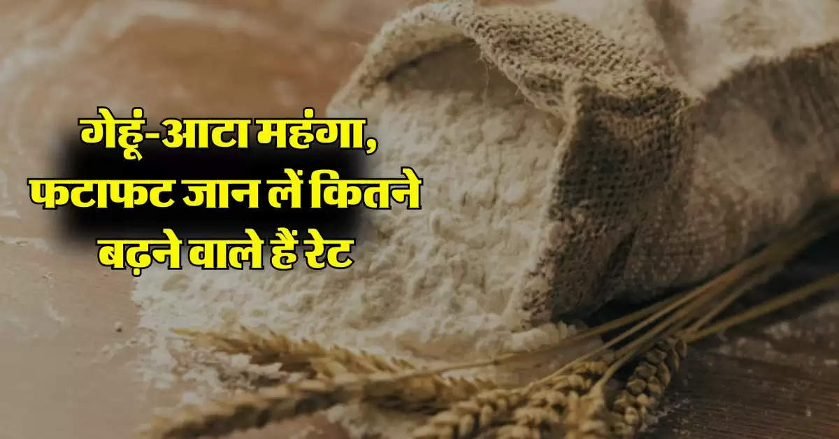 Wheat Flour Price : गेहूं-आटा महंगा, फटाफट जान लें कितने बढ़ने वाले हैं रेट