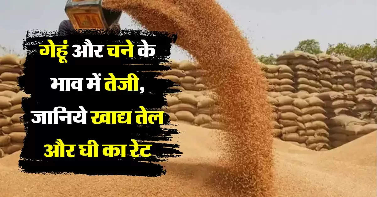 wheat price : गेहूं और चने के भाव में तेजी, जानिये खाद्य तेल और घी का रेट