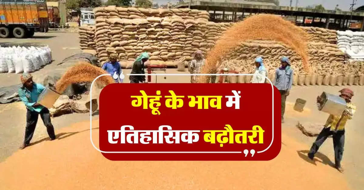 Wheat Price : गेहूं के भाव में एतिहासिक उछाल, जानिये गेहूं के ताजा भाव