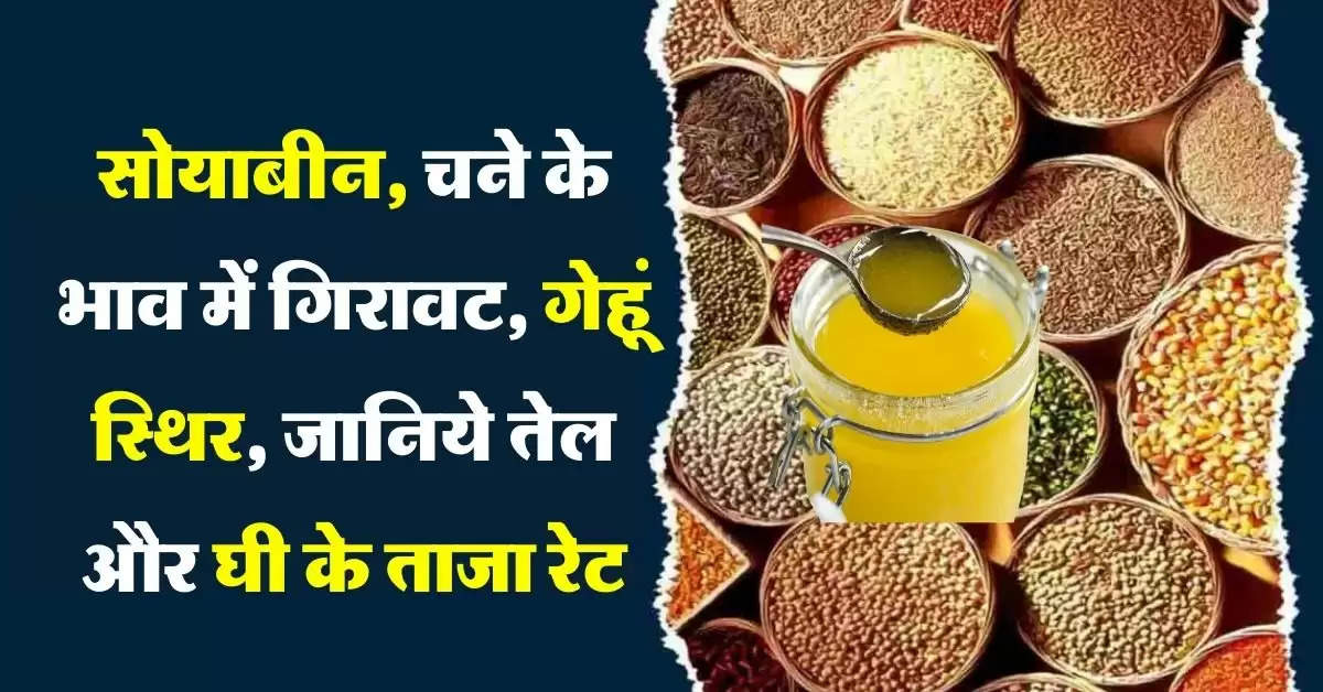 Grain market : सोयाबीन, चने के भाव में गिरावट, गेहूं के भाव स्थिर, जानिये तेल और घी के रेट