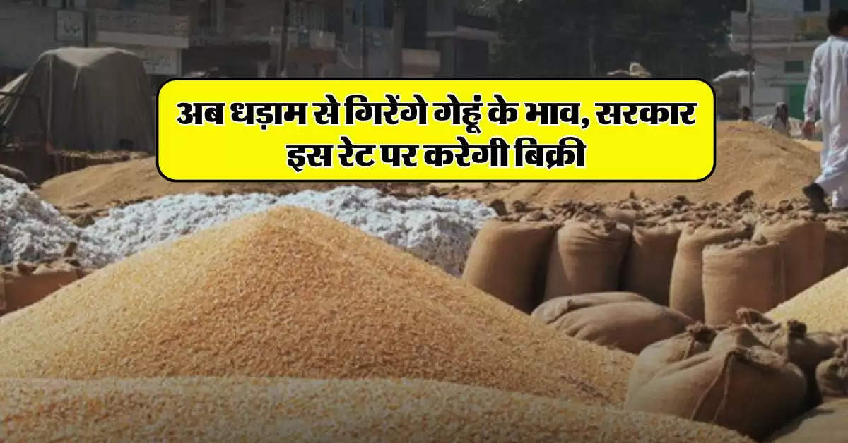 Wheat price : अब धड़ाम से गिरेंगे गेहूं के भाव, सरकार इस रेट पर करेगी बिक्री