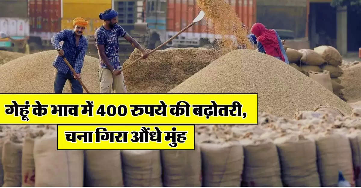 Wheat Price : गेहूं के भाव में 400 रुपये की बढ़ोतरी, चना गिरा औंधे मुंह