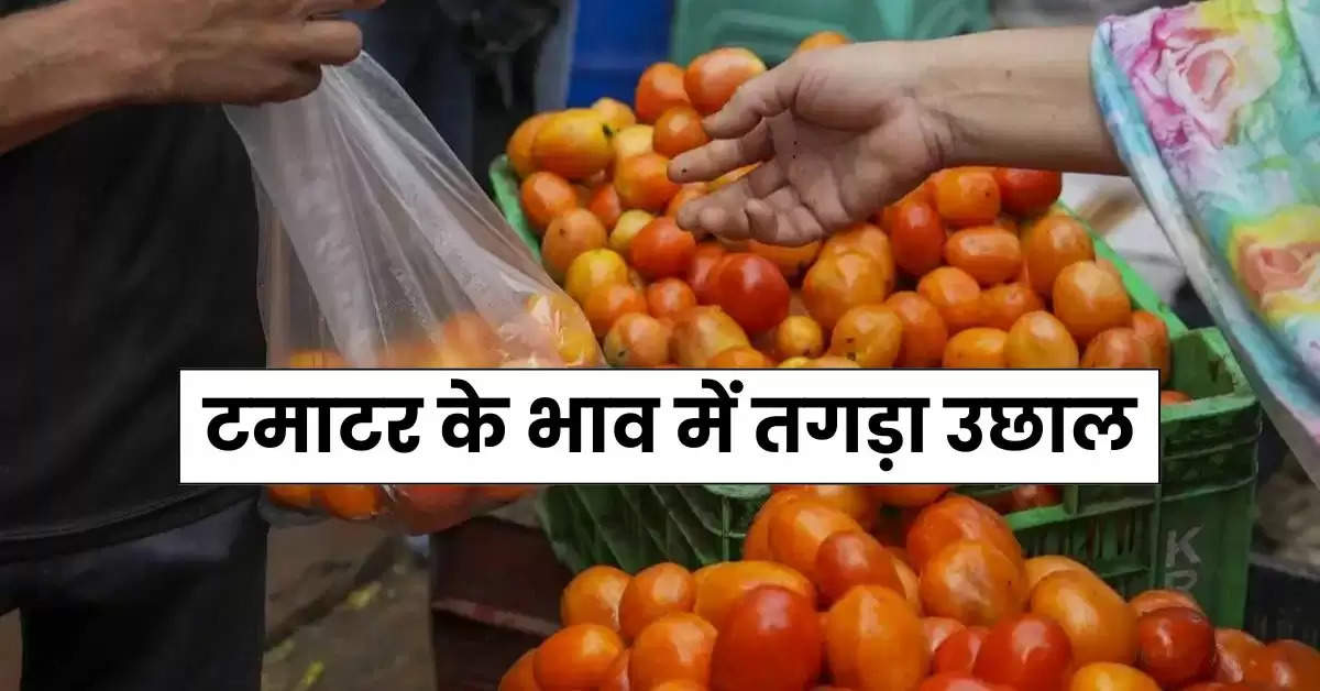 Tomato Price : टमाटर के भाव में तगड़ा उछाल, इतने रुपये किलो पहुंच गई कीमत