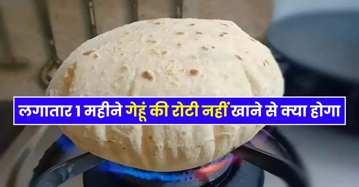 Roti : लगातार 1 महीने गेहूं की रोटी नहीं खाने से क्या होगा, एक्सपर्ट ने बताई जरूरी बात