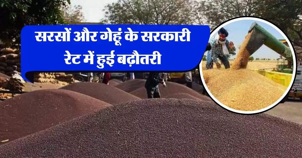 Mustard Wheat Price : सरसों और गेहूं के सरकारी रेट में हुई बढ़ौतरी, जानिये नए भाव