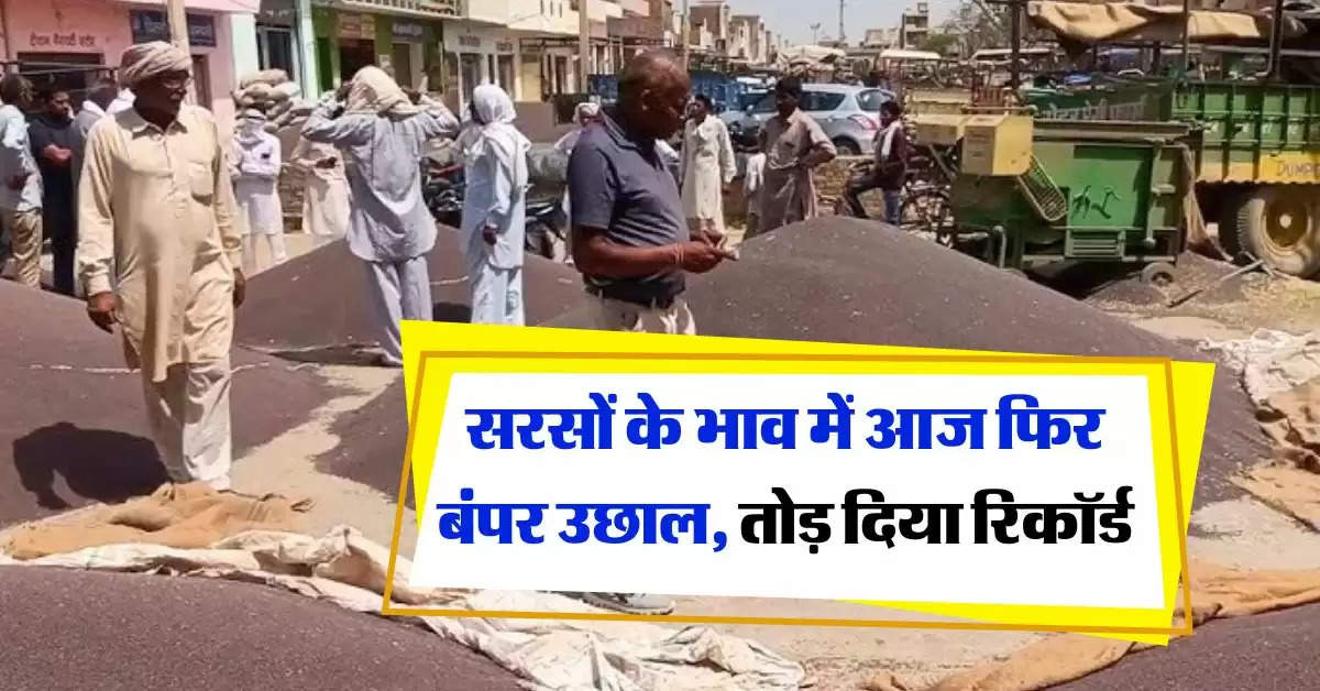 Sarso ka Bhav : सरसों के भाव में आज फिर बंपर उछाल, तोड़ दिया रिकॉर्ड