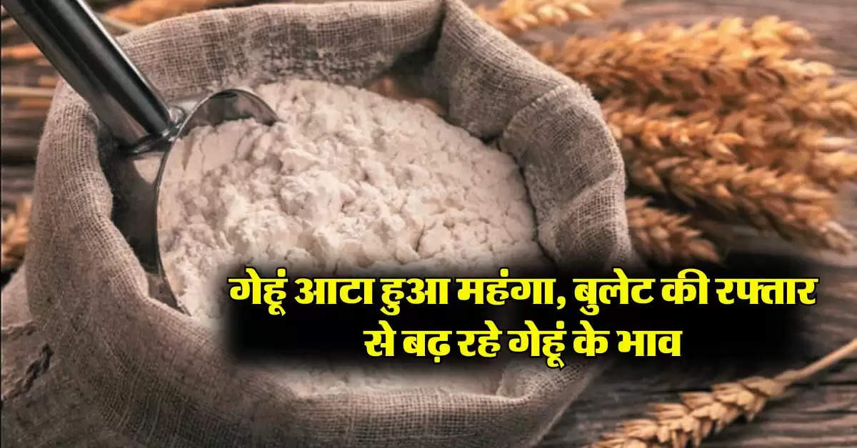 Wheat Flour Price : गेहूं आटा हुआ महंगा, बुलेट की रफ्तार से बढ़ रहे गेहूं के भाव