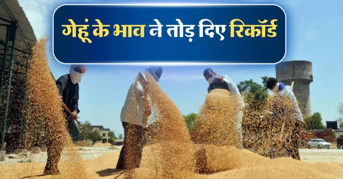 wheat price : गेहूं के भाव ने तोड़ दिए रिकॉर्ड, जानिये आज का गेहूं का रेट