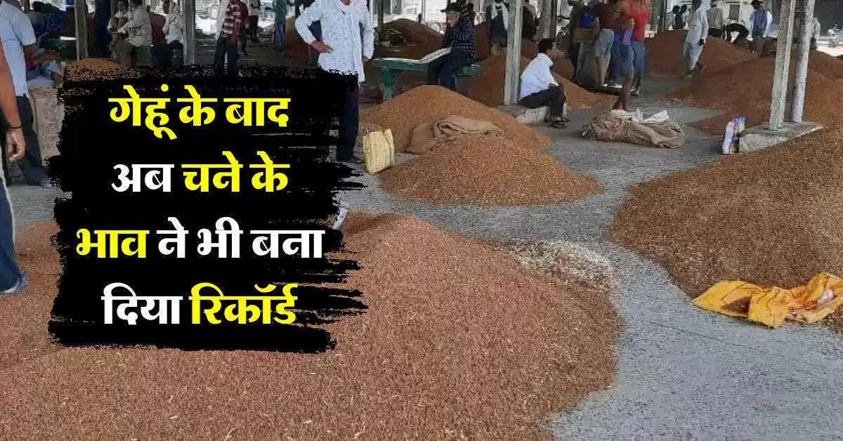 gram wheat price : गेहूं के बाद अब चने के भाव ने भी बना दिया रिकॉर्ड