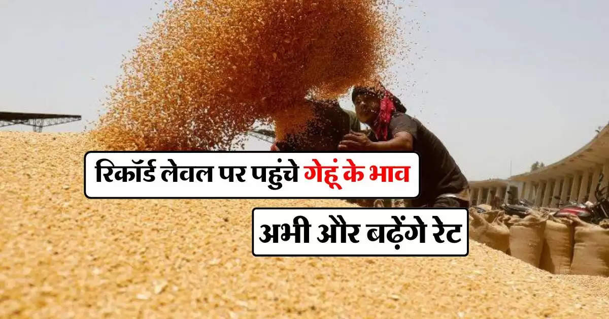 wheat price : रिकॉर्ड लेवल पर पहुंचे गेहूं के भाव, अभी और बढ़ेंगे रेट