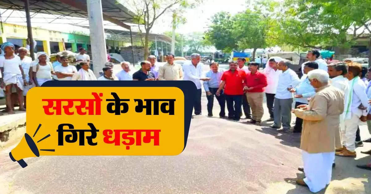 sarso ka bhav 3 september : सरसों के भाव गिरे धड़ाम, जानिये आज के लेटेस्ट सरसों रेट