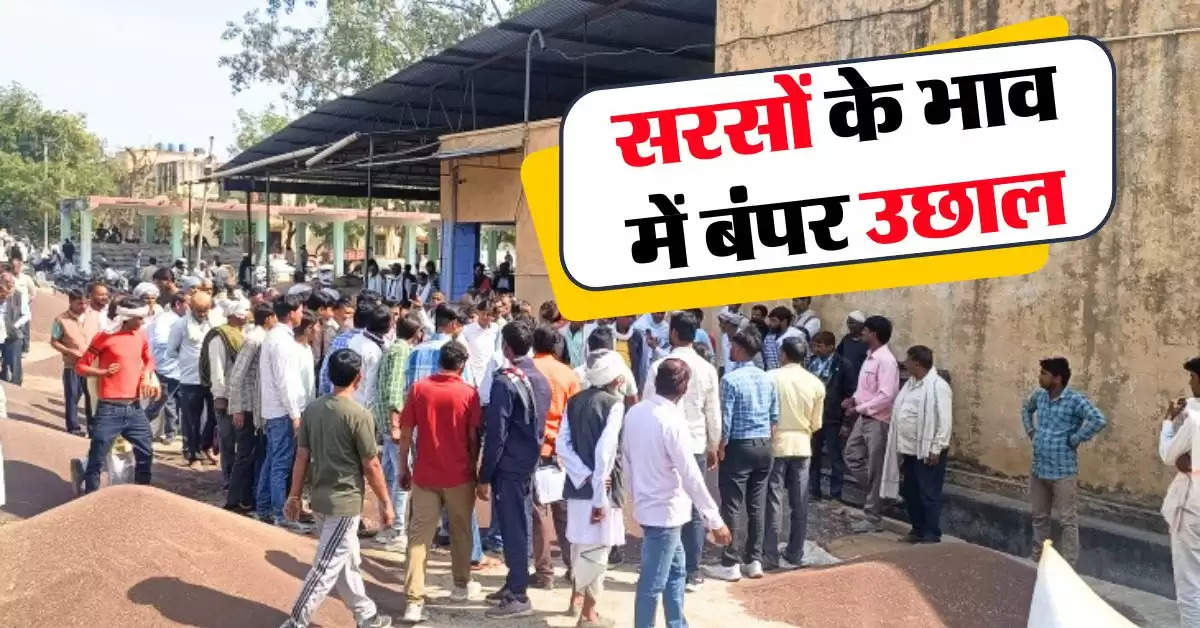 sarso ka bhav : सातवें आसमान पर पहुंचे सरसों के भाव, जानिये देशभर की मंडियों में सरसों के रेट