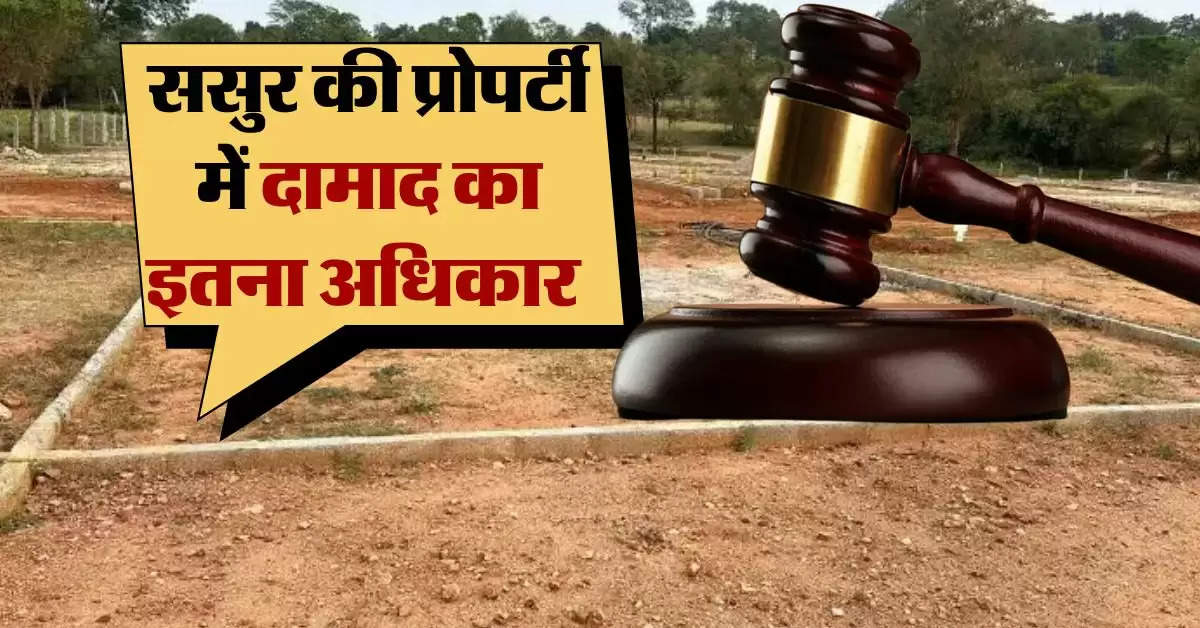 son-in-law's property rights : क्या दामाद मांग सकता है ससुर की प्रोपर्टी में हिस्सा, हाईकोर्ट ने सुनाया फैसला