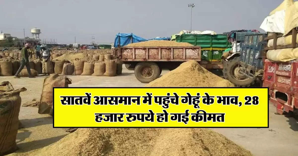 Wheat price hike : सातवें आसमान में पहुंचे गेहूं के भाव, 28 हजार रुपये हो गई कीमत