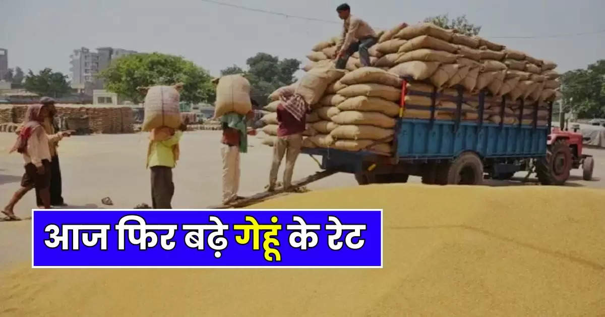 Wheat Price : आज फिर बढ़े गेहूं के रेट, तोड़ने वाले हैं रिकॉर्ड