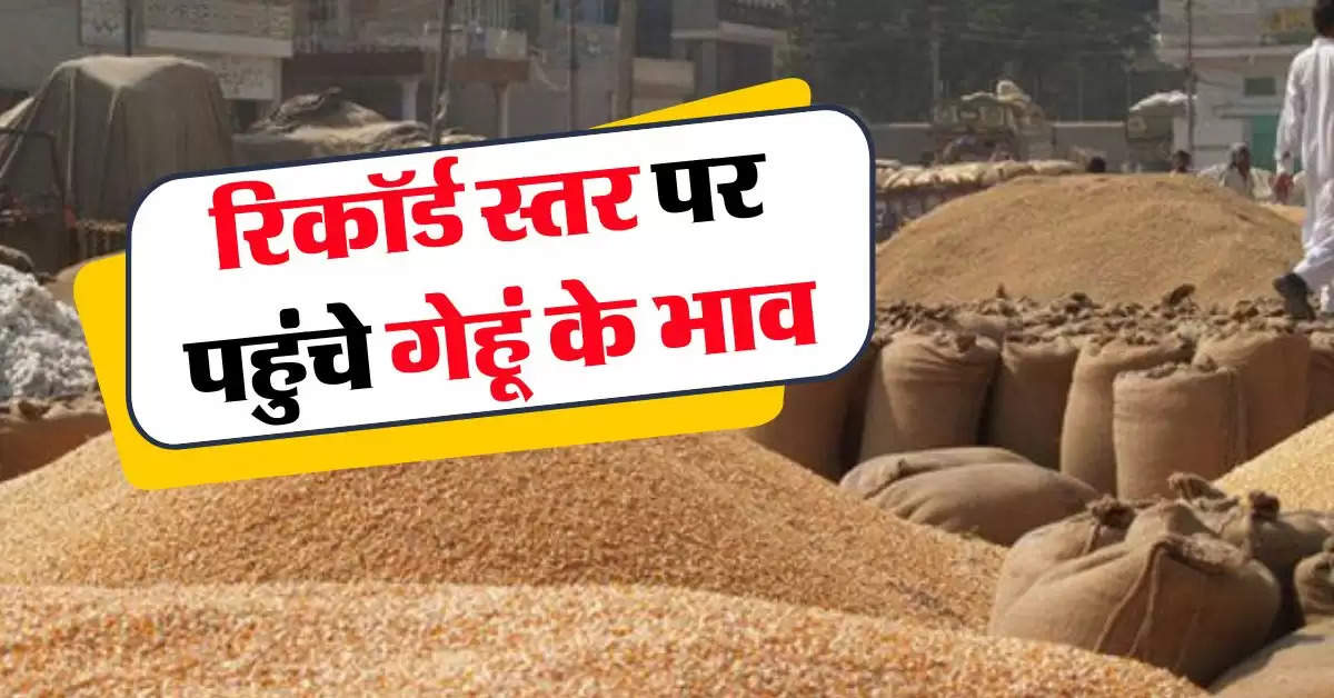 Wheat price : गेहूं की बढ़ती कीमतें करेंगी परेशान, जानिये आज का गेहूं का भाव