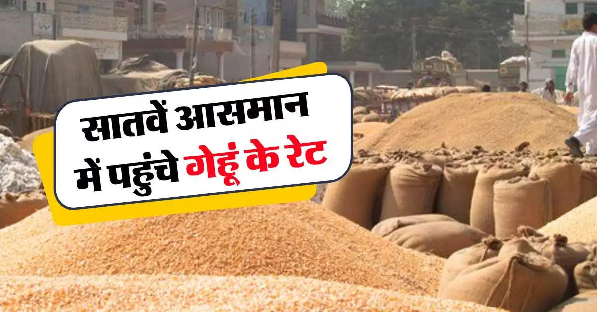 wheat price : दिवाली से पहले उछले गेहूं के भाव, जानिये आज का भाव