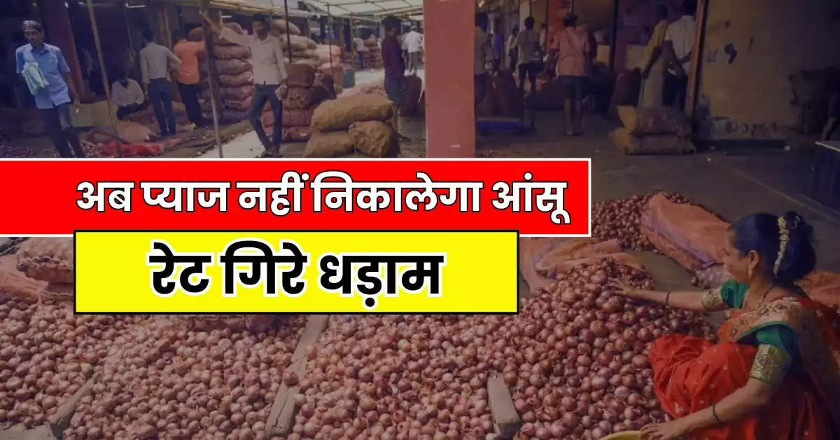 Onion Price : अब प्याज नहीं निकालेगा आंसू, रेट गिरे धड़ाम