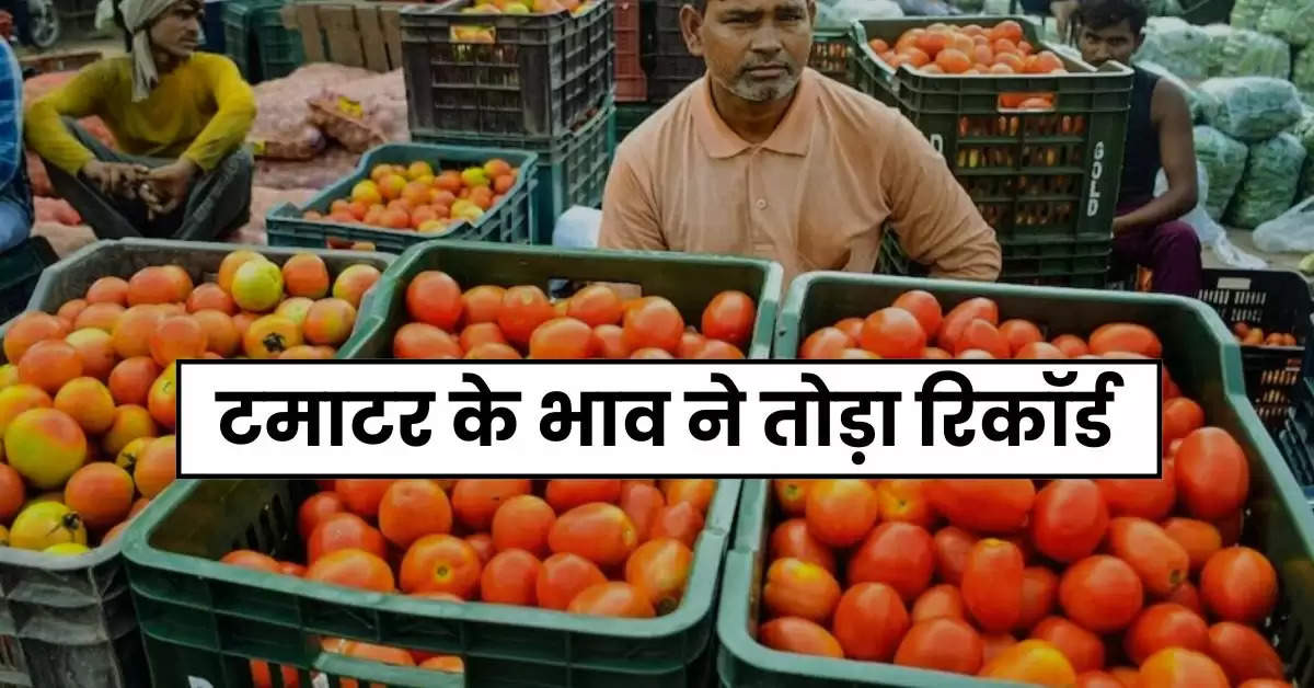 Tomato Price Today : टमाटर के भाव ने तोड़ा रिकॉर्ड, सातवें आसमान में पहुंचे रेट