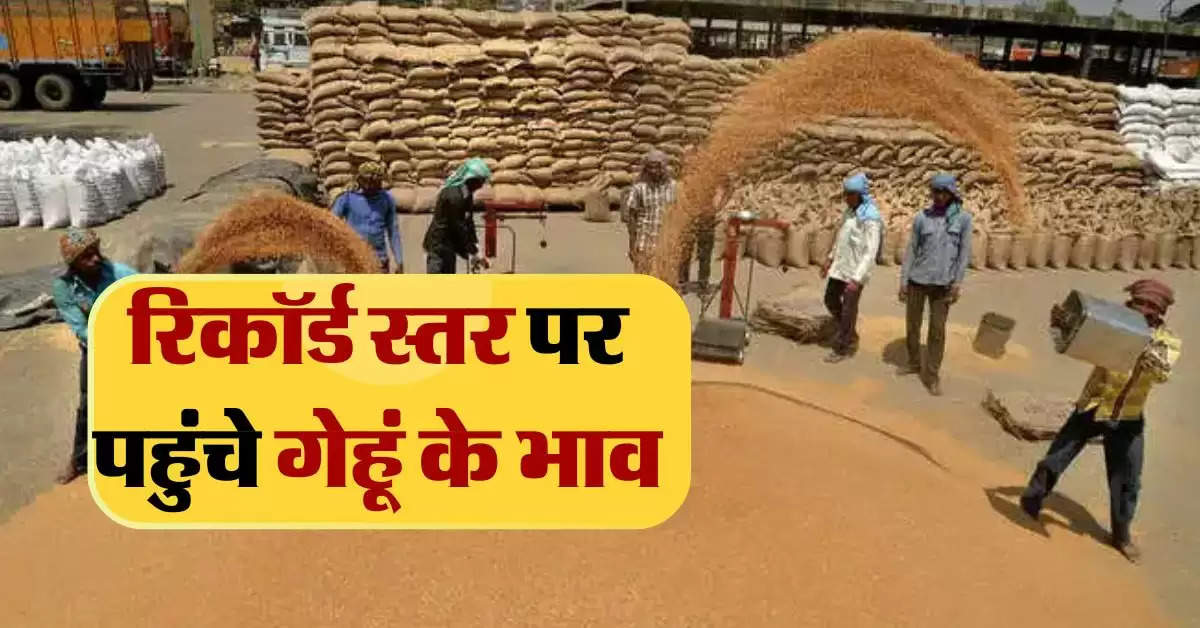 wheat price : आज फिर उछले गेहूं के भाव