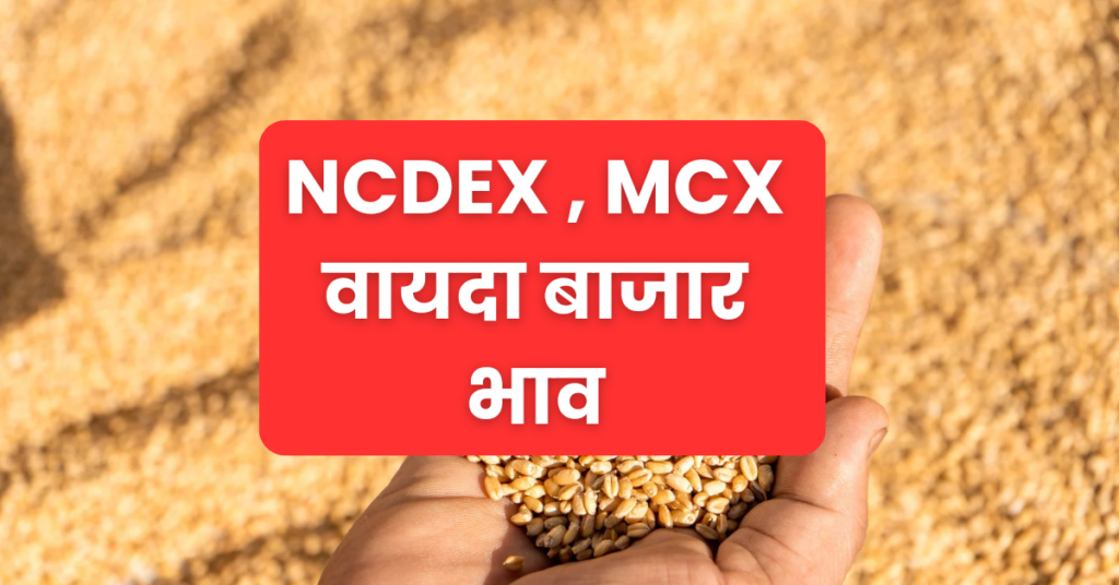 NCDEX MCX Bhav